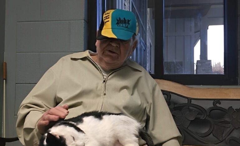 Tyvärr, den begärda sidan finns inte.