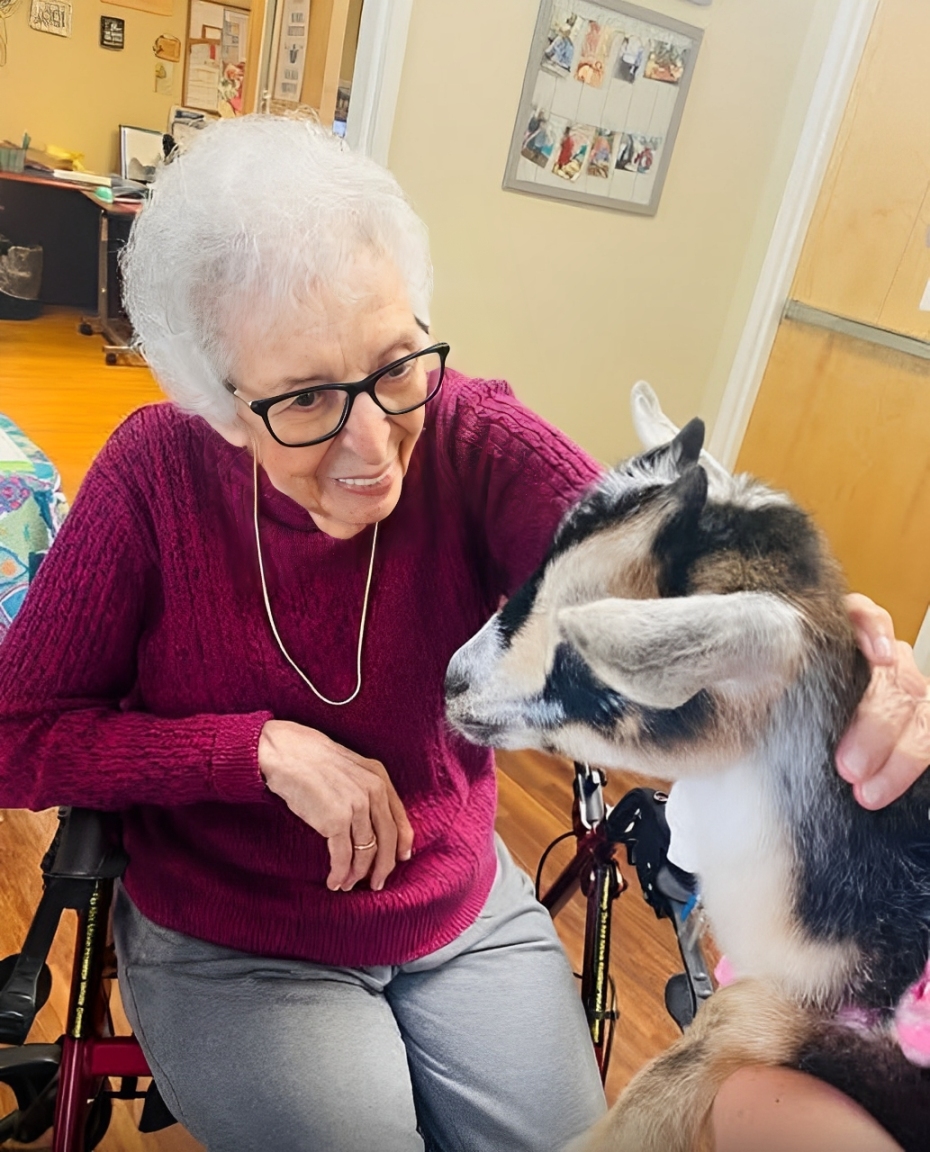 Tyvärr, den begärda sidan finns inte.