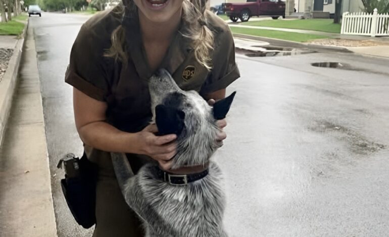 Tyvärr, den begärda sidan finns inte.