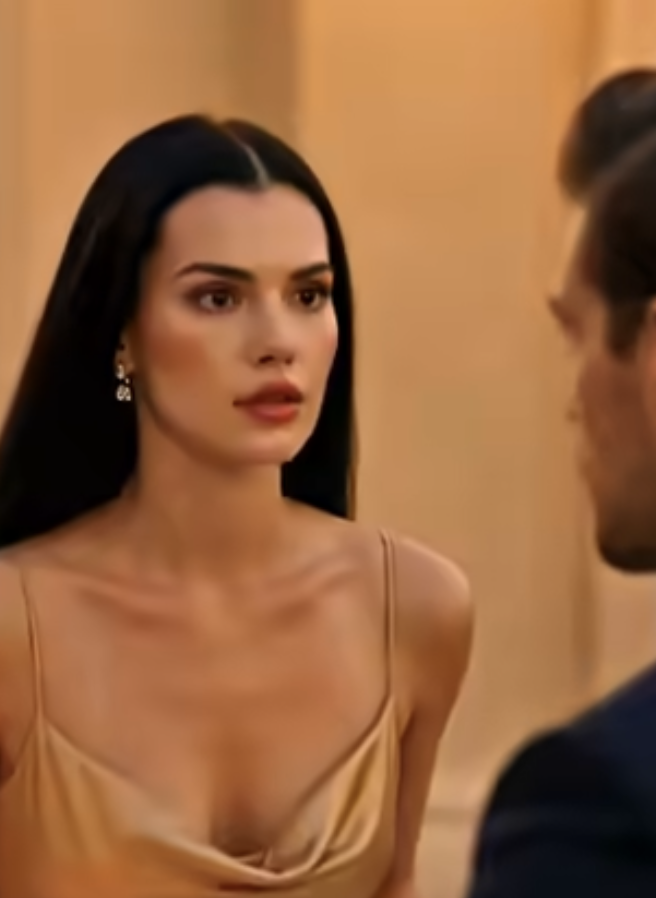 J’ai gâché le dîner d’anniversaire de ma belle-mère après qu’ils m’aient forcé à partir