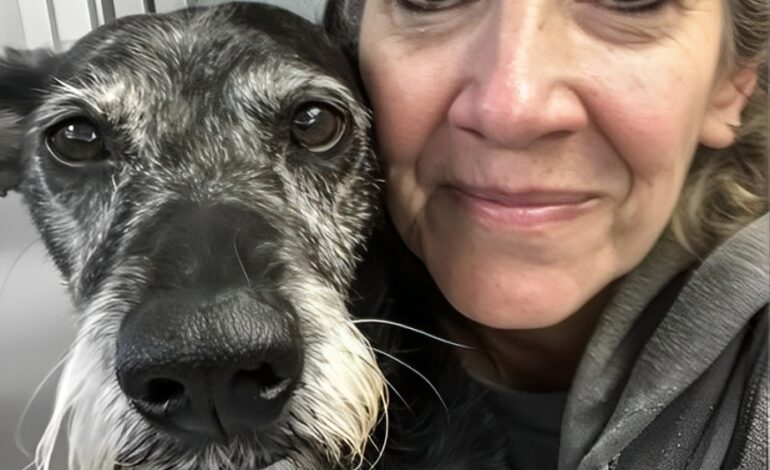 Tyvärr, den begärda sidan finns inte.