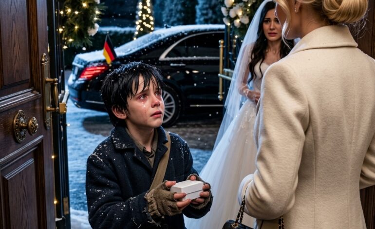 Ein obdachloses Mädchen wurde von einer festlichen Winterhochzeit fortgeschickt und blieb unbeachtet vor dem Eingang zurück, während eisiger Wind um sie herum pfiff. Zitternd vor Kälte hielt sie eine kleine weiße Schachtel fest an ihre Brust gedrückt – ohne dass jemand ahnte, welches Geheimnis sie darin verbarg und wie sehr es das Leben der Anwesenden verändern würde.